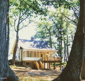 Wooded back covered patio