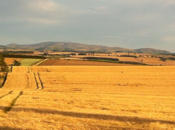 Oklassificerad bild, 1 av 50, knapp