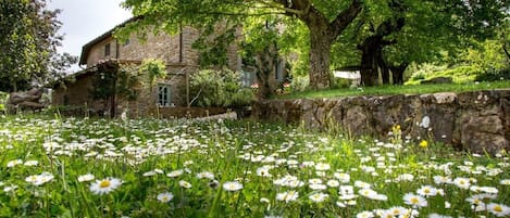 Jardines del alojamiento