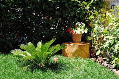 Apartment Mina with garden and free parking, 500 meters from the city center