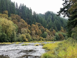 Early fall, downriver view