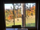 View of the Fall colors out the windows October 