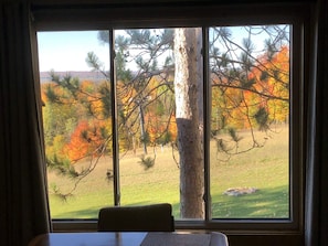 View of the Fall colors out the windows October 