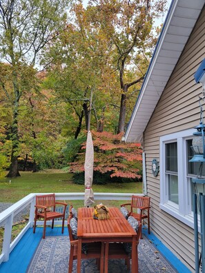 Fall color: Nov 2021