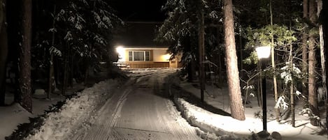 private drive nestled in the woods