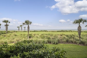 Inspiring Views – Gaze across the grass-covered, palm-dotted dunes to the white sand beach and murmuring surf of the Atlantic Ocean.