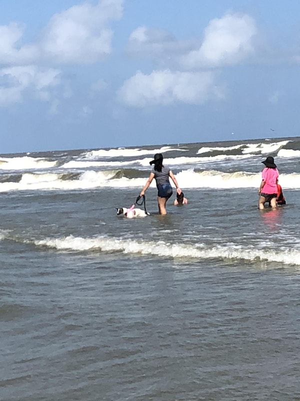 Strand