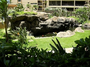 Koi pond as seen from the lanai