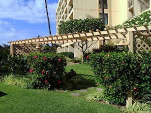 Tropical gardens