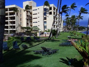 Manicured suntanning lawns