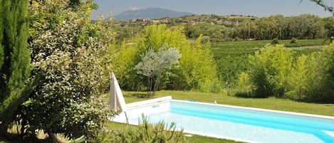 votre piscine uniquement pour vous avec la vue dégagée sur le mont ventoux 