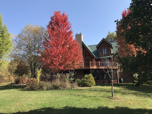 Gorgeous fall colors. 