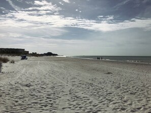 View south on the beach.