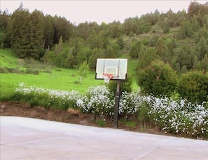 Basketball area