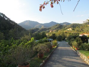 庭園