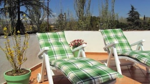 Terrace / Balcony