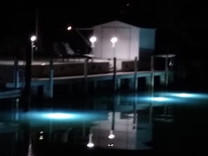 amazing dock lights 