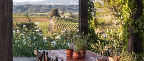 Poolside pergola has panoramic view of Geyser Peak and vineyards.