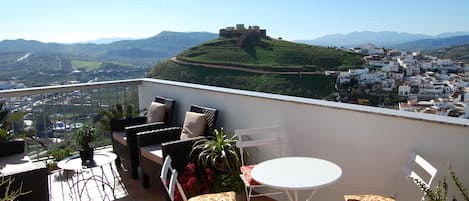 The views from the main terrace overlooking the castle, the town and countryside