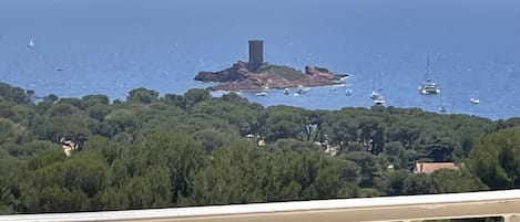 Une partie de la vue de la terrasse