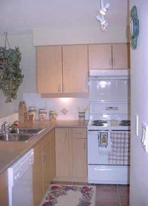 Bright Fully Equipped Kitchen.