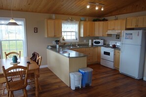 Large open concept kitchen, dining and living room.