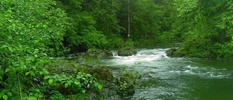 Terrain de l’hébergement 