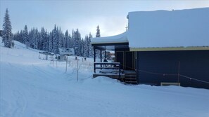 Adjacent to Alpine Meadows Chair and Overpass to Silver Queen Chair. Hot Tub on Deck.