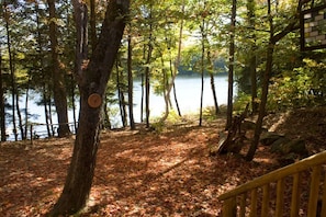 View from the Porch