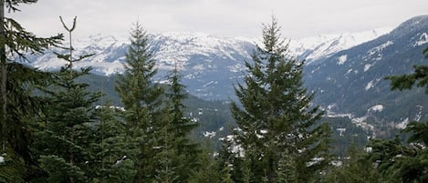 The Townhome is Located on the Side of Creekside Mountain for Easy Ski in/out Access and the Best View in Whistler.