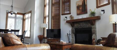 Living Area with Fireplace