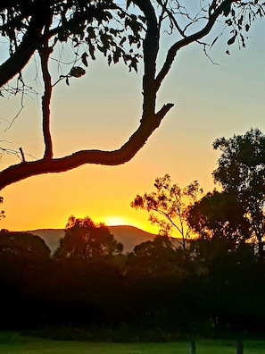 Stunning sunsets on the property