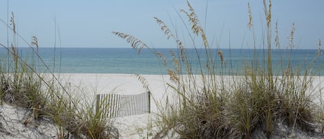 Playa