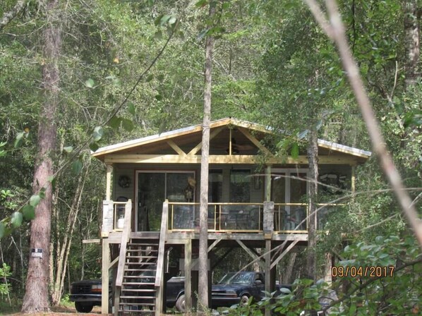 Cabin on the Canoochee River