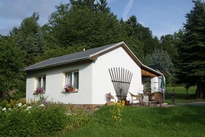Trädgård