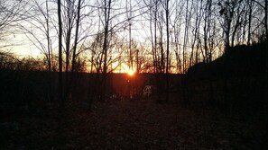 Oklassificerad bild, 4 av 46, knapp