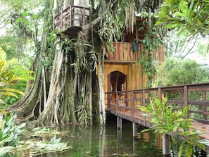 Treehouse in rainy season