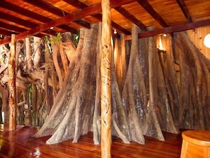 tree roots 1st floor