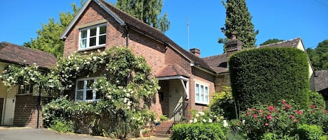 White Rose Cottage in full bloom