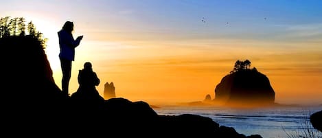 Closest to Olympic National Park
