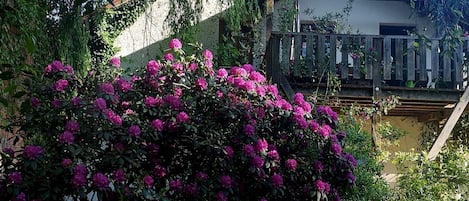 die Ferienwohnung liegt parterre; oben drüber lebe ich mit meiner Tochter