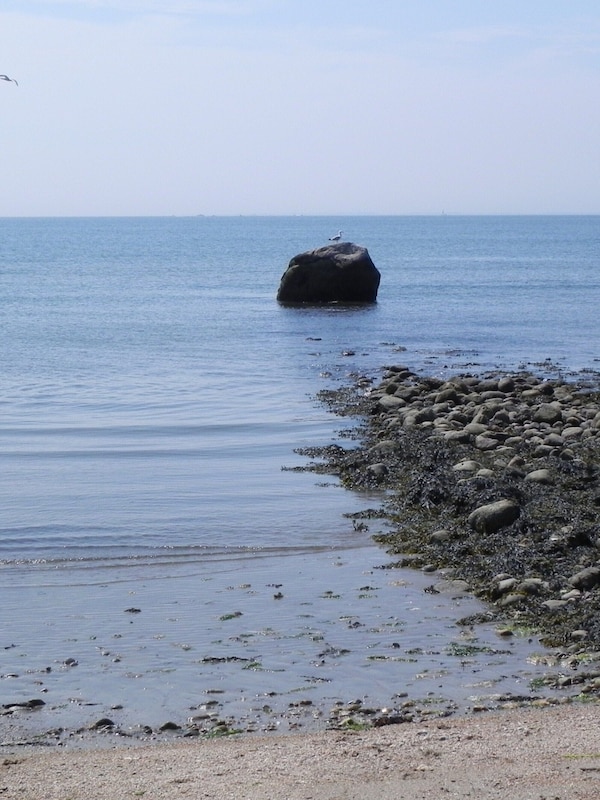 Use of our private beach and all estate walking trails included with rental.