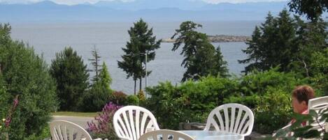 Enjoy the view from the patio watching swooping eagles  and swimming seals.