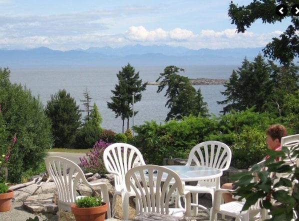 Enjoy the view from the patio watching swooping eagles  and swimming seals.