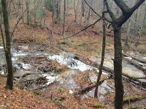 Hiking out the back door