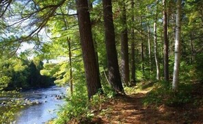 Riverside hiking trail