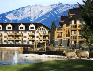 Bighorn Meadows Resort