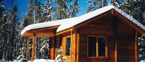  Bear cabin