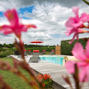 View towards vines