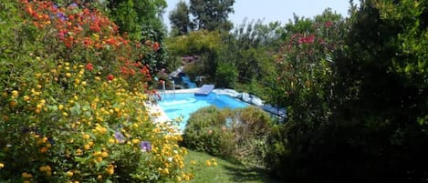Jardim e piscina